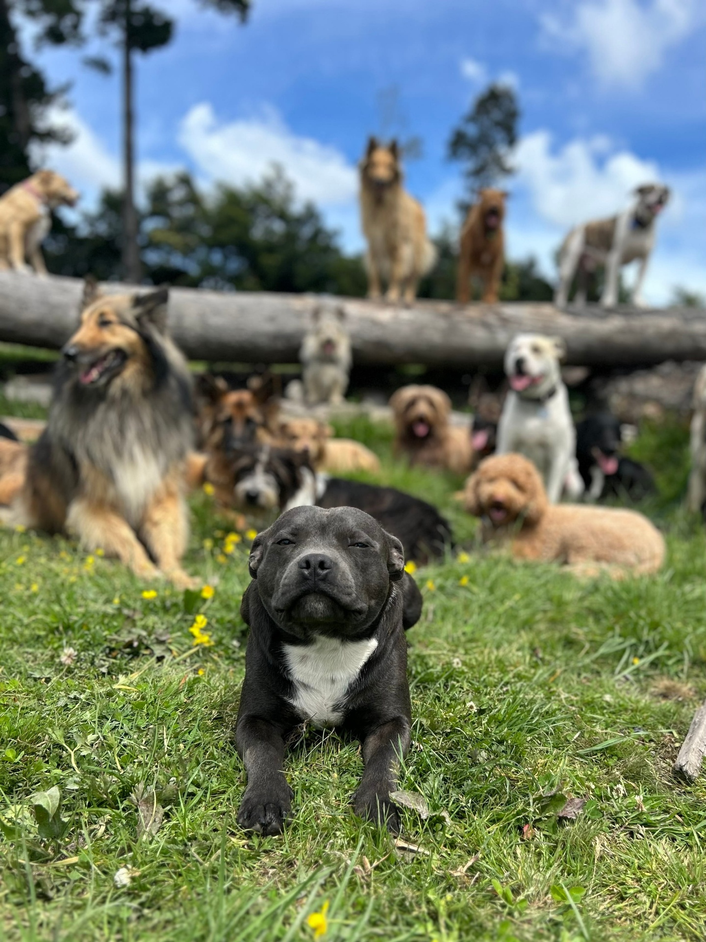 Daycare & Development